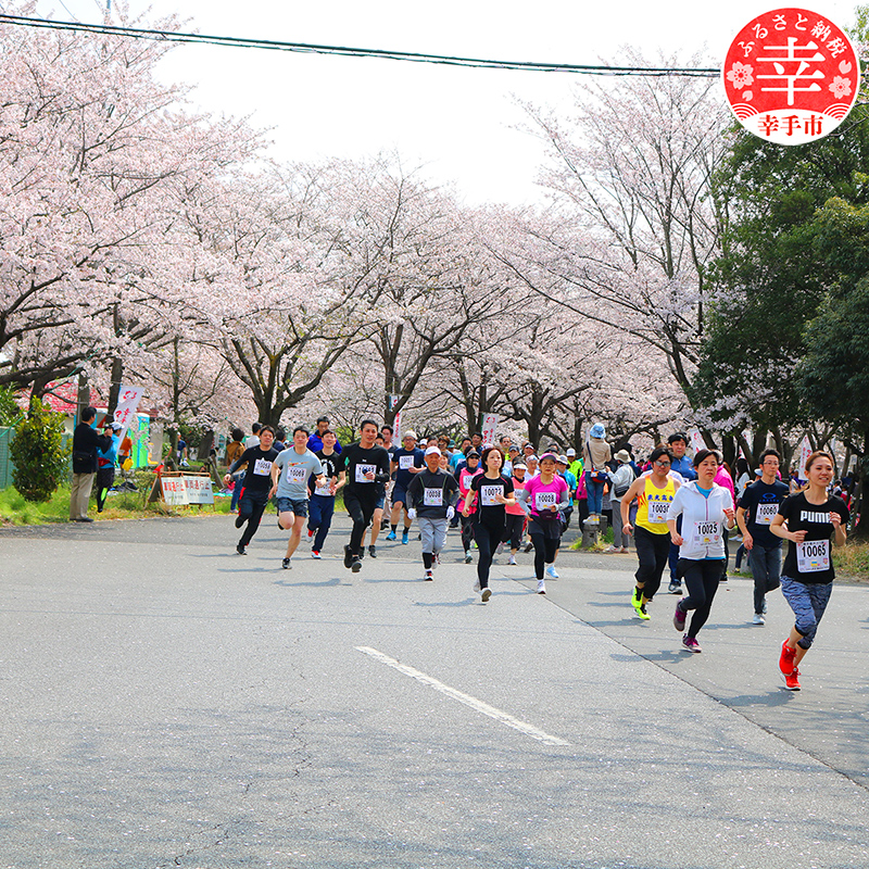 第34回幸手市さくらマラソン大会出走権（駐車券付）（種目：10km） - チケット 券 マラソン 出走権 エントリー スポーツ 運動 ランナー 参加 桜 春 埼玉県 幸手市