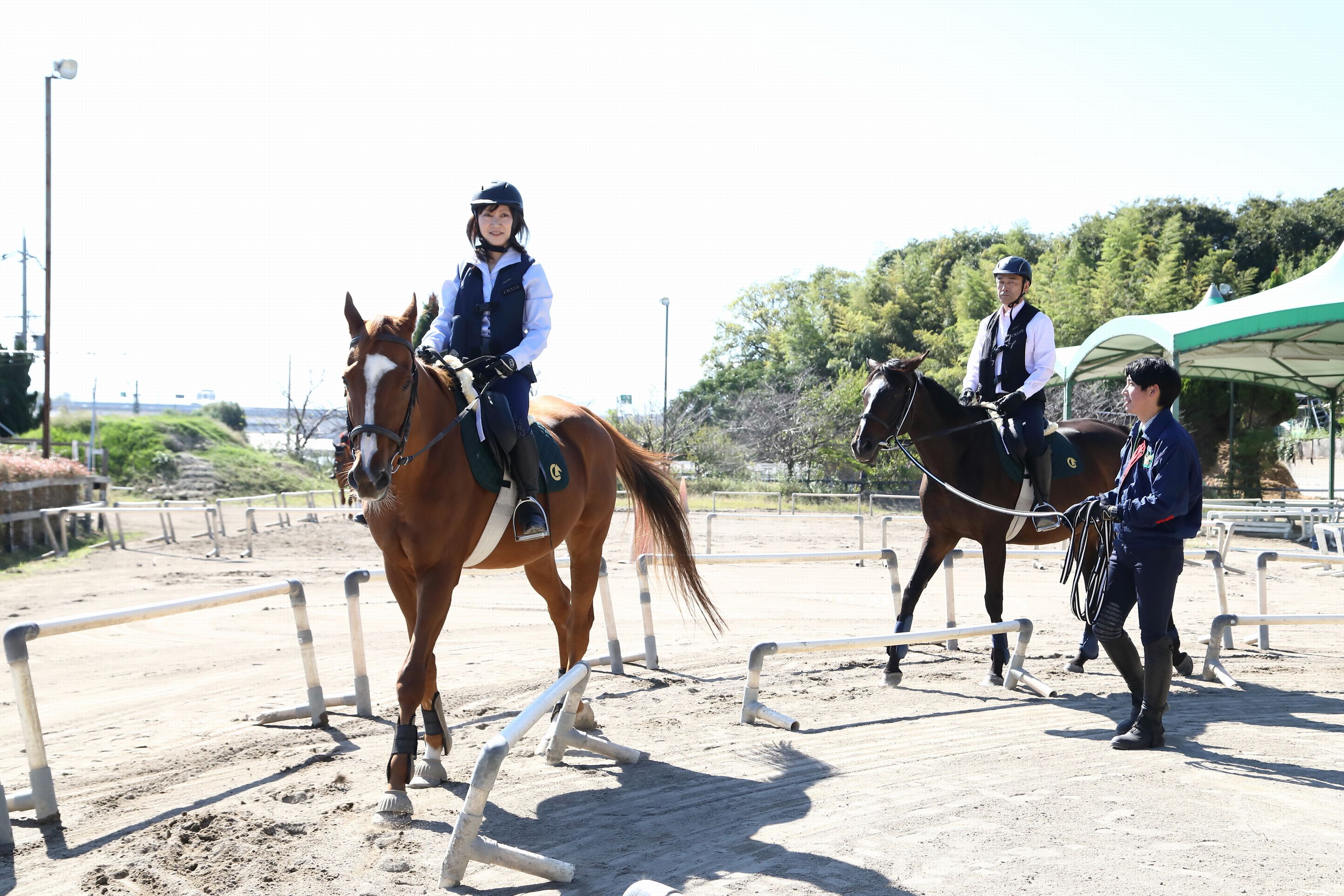 乗馬 初心者歓迎 馬とふれあう感動体験 東武乗馬クラブ&ク…