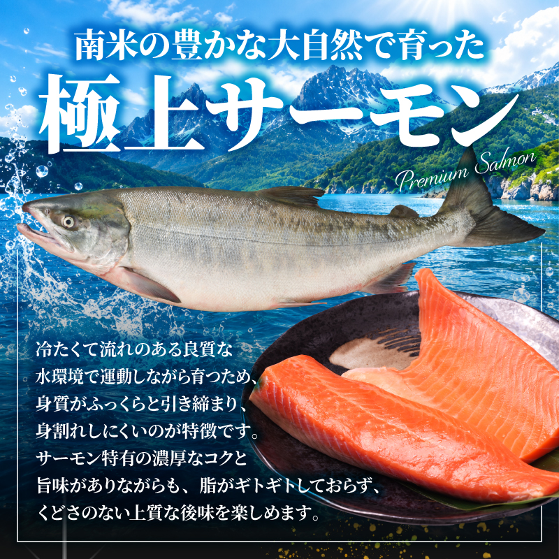 サーモン 1kg トラウトサーモン 生食用 【11月下旬頃から順次発送】 刺身 おさしみ 鮭 さけ おすすめ 魚 海鮮 人気 お取り寄せ グルメ ふるさと納税 送料無料 千葉県 銚子市 松岡水産