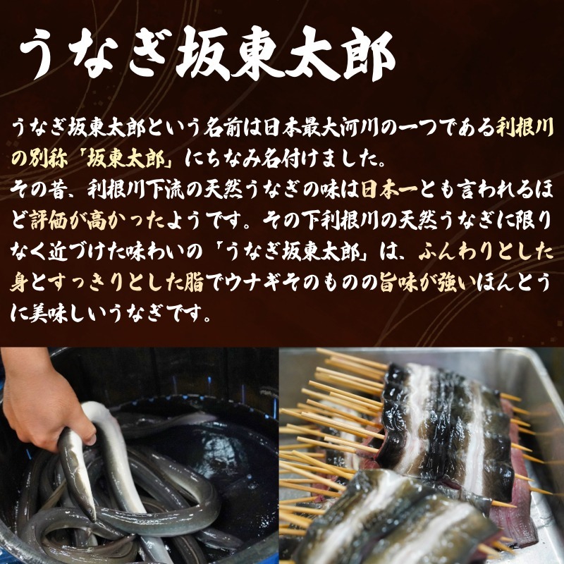 うなぎ 蒲焼 坂東太郎 【選べる大きさ・容量】 大中小 3枚 5枚 6枚 鰻 鰻蒲焼 魚 魚介 たれ 国産うな重 ひつまぶし 蒲焼 蒲焼き かばやき 送料無料 ふるさと納税 千葉県 銚子市 忠平