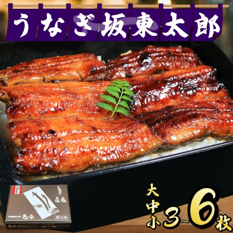 うなぎ 蒲焼 坂東太郎 【選べる大きさ・容量】 大中小 3枚 5枚 6枚 鰻 鰻蒲焼 魚 魚介 たれ 国産うな重 ひつまぶし 蒲焼 蒲焼き かばやき 送料無料 ふるさと納税 千葉県 銚子市 忠平