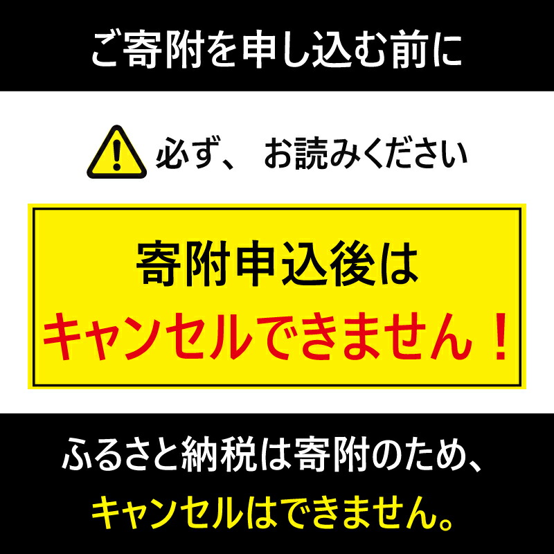 鮭 塩銀鮭 18切 甘口 個包装 真空パック サーモン 魚介類 海鮮 さけ サケ 鮭切身 シャケ 切り身 冷凍 家庭用 おかず 弁当 大満足 美味しい 魚 わけあり 大容量 肉 送料無料 ふるさと納税 ふるさと納税鮭 観光協会