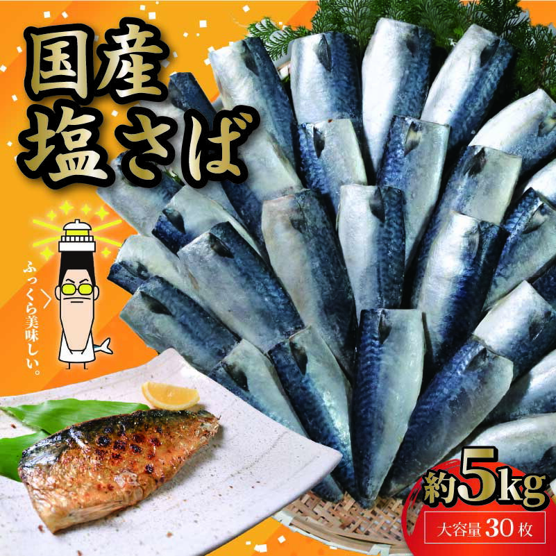 国産 塩サバフィレ 30枚 約 5kg 鯖 さば 塩鯖 塩さば フィレ フィーレ 切身 切り身 冷凍 ストック バラ凍結 小分け 国産さば 送料無料 ふるさと納税 千葉県 銚子市 株式会社 大成
