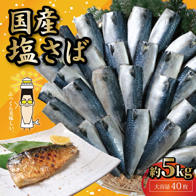 国産 塩サバフィレ 40枚 約 5kg 鯖 さば 塩鯖 塩さば フィレ フィーレ 切身 切り身 冷凍 ストック バラ凍結 小分け 国産さば 送料無料 ふるさと納税 千葉県 銚子市 株式会社 大成