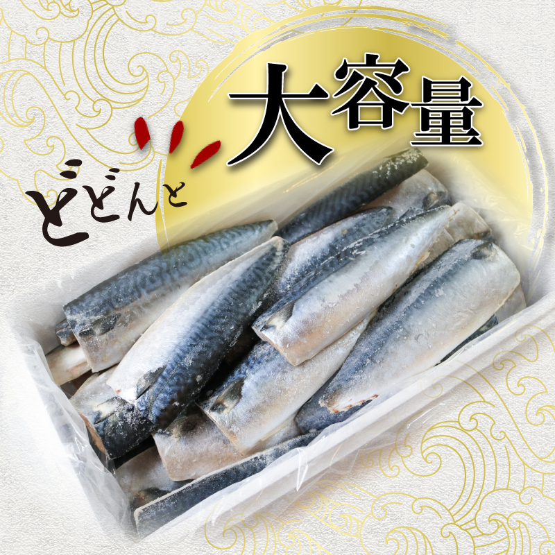 国産 塩サバフィレ 40枚 約 5kg 鯖 さば 塩鯖 塩さば フィレ フィーレ 切身 切り身 冷凍 ストック バラ凍結 小分け 国産さば 送料無料 ふるさと納税 千葉県 銚子市 株式会社 大成