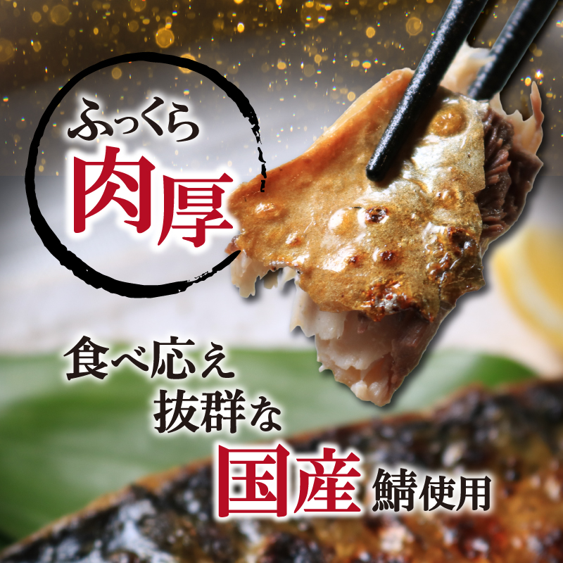 国産 塩サバフィレ 40枚 約 5kg 鯖 さば 塩鯖 塩さば フィレ フィーレ 切身 切り身 冷凍 ストック バラ凍結 小分け 国産さば 送料無料 ふるさと納税 千葉県 銚子市 株式会社 大成