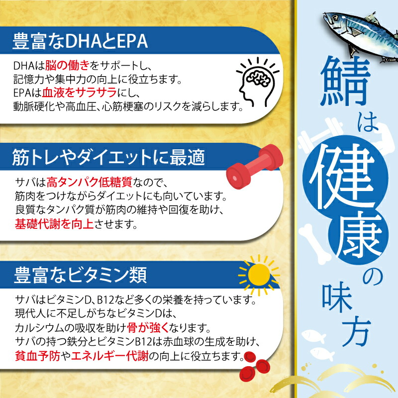 塩サバフィーレ 約3kg ノルウェー産 冷凍 ｻﾊﾞ 鯖 塩サバ 塩鯖 海鮮 魚 訳なし 正規品 大容量 青魚 おかず 惣菜 魚介 おつまみ 弁当 人気 冷凍食品 送料無料 千葉県 銚子市 大一奈村