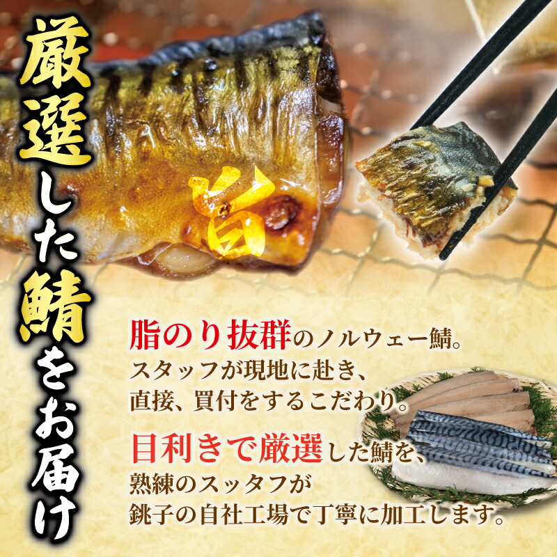訳あり 塩サバフィーレ 約 1kg 2kg 3kg ノルウェー産 冷凍 サバ 鯖 塩サバ 塩鯖 海鮮 魚 大容量 規格外 不揃い 青魚 おかず 惣菜 魚介 送料無料 千葉県 銚子市 大一奈村