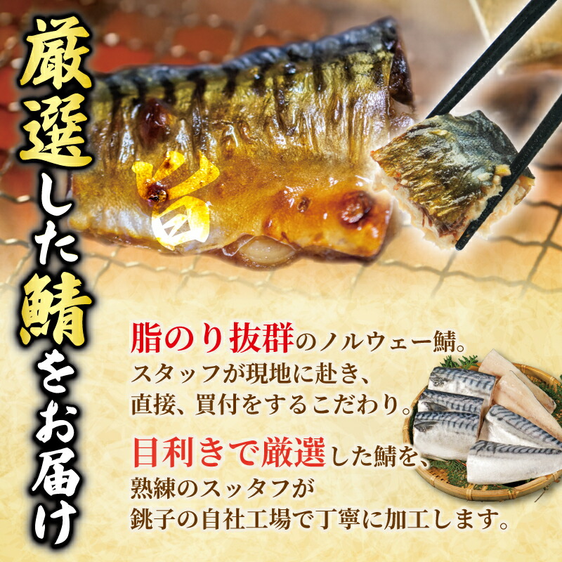 訳あり 塩サバ 切身 約500g ~ 2kg ノルウェー産 冷凍 ｻﾊﾞ 鯖 塩サバ 塩鯖 鯖切身 鯖切り身 サバ切身 サバ切り身 切り身 切身 送料無料 ふるさと納税 千葉県 銚子市 大一奈村魚問屋