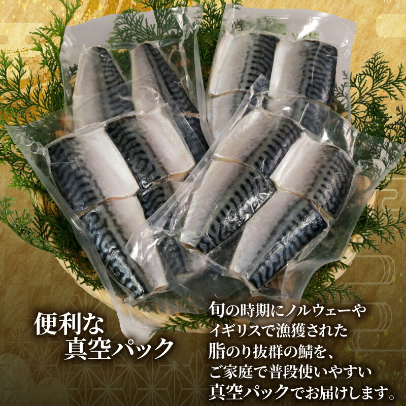 訳あり 腹骨取り 塩さば 真空パック 計16切（4切入×4パック） さば 鯖 塩さば 塩鯖 さばフィーレ 鯖フィーレ さばフィレ 鯖フィレ 切り身 切身 無添加 添加物不使用 真空 真空包装 個包装