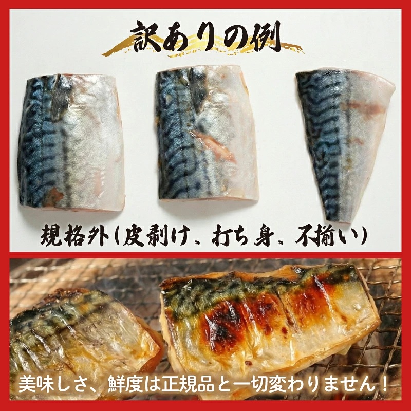 訳あり 霜降り塩サバ 三枚卸 約 1kg 塩さば 塩鯖 さば 鯖 切身 切り身 フィレ フィーレ 国内加工 霜降り トロ 肉 厚 冷凍 大容量 たっぷり わけあり 訳有 規格外 鯖の切り身 さばの切身