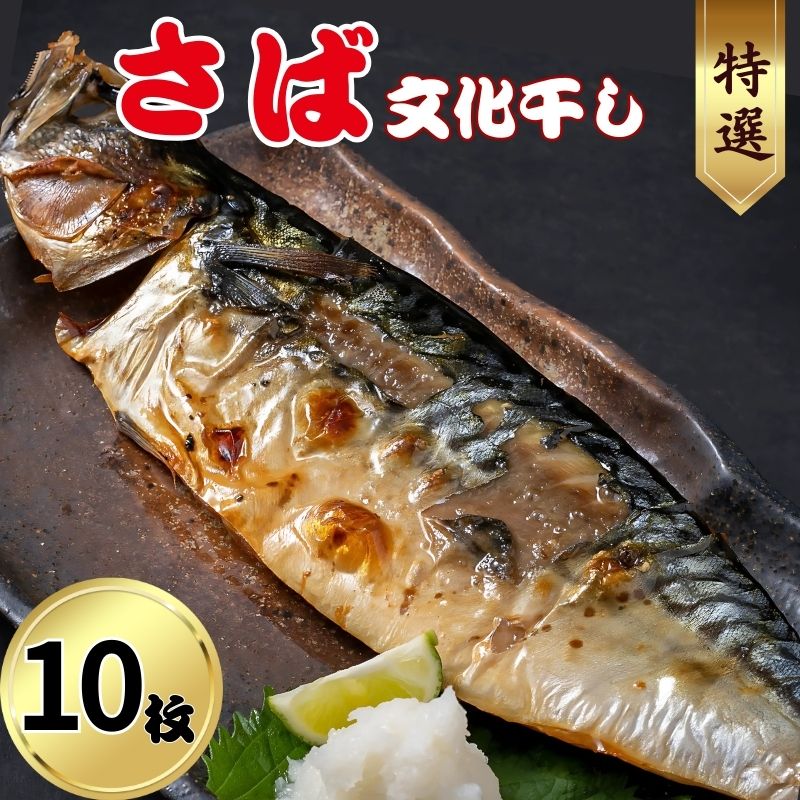 さば文化干し 10枚 ショウマル下谷 特選 鯖 さば サバ 文化干し 中骨取り 干物  人気 お勧め おすすめ 魚介 冷凍 お取り寄せ グルメ おかず 弁当  焼魚 味噌煮 照り焼き 竜田揚げ 酒