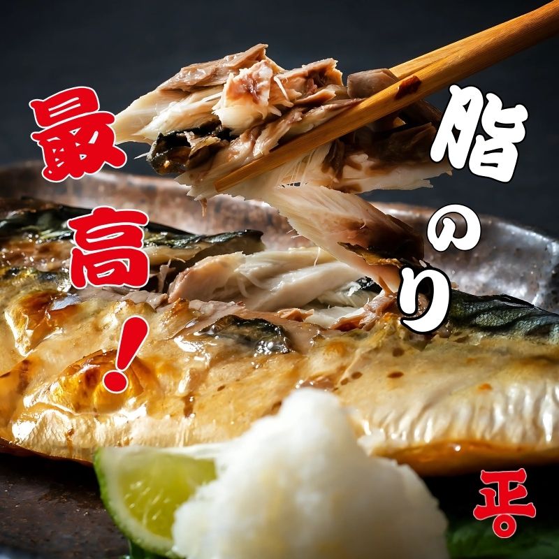 さば文化干し 10枚 ショウマル下谷 特選 鯖 さば サバ 文化干し 中骨取り 干物  人気 お勧め おすすめ 魚介 冷凍 お取り寄せ グルメ おかず 弁当  焼魚 味噌煮 照り焼き 竜田揚げ 酒
