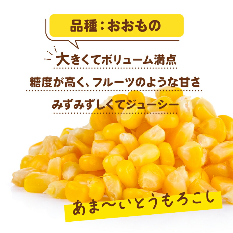 先行予約 とうもろこし おおもの 約5kg  【7月上旬～8月上旬頃発送予定】 国産 銚子産 朝採れ 朝採り 先行予約 産地直送 野菜 夏野菜 新鮮 冷蔵 甘い ジューシー 生 大容量