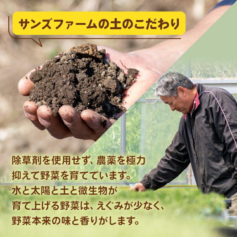 先行予約 とうもろこし おおもの 約5kg  【7月上旬～8月上旬頃発送予定】 国産 銚子産 朝採れ 朝採り 先行予約 産地直送 野菜 夏野菜 新鮮 冷蔵 甘い ジューシー 生 大容量