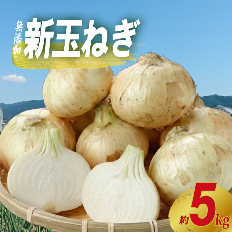 【先行予約】たまねぎ 玉ねぎ 約5kg 【4月上旬～5月中旬頃発送予定】 新玉ねぎ サイズ不揃い 期間限定 オニオン 玉葱 たまねぎ 国産 銚子産 産地直送 野菜 春野菜 新鮮 甘い ジューシー 生 大容量