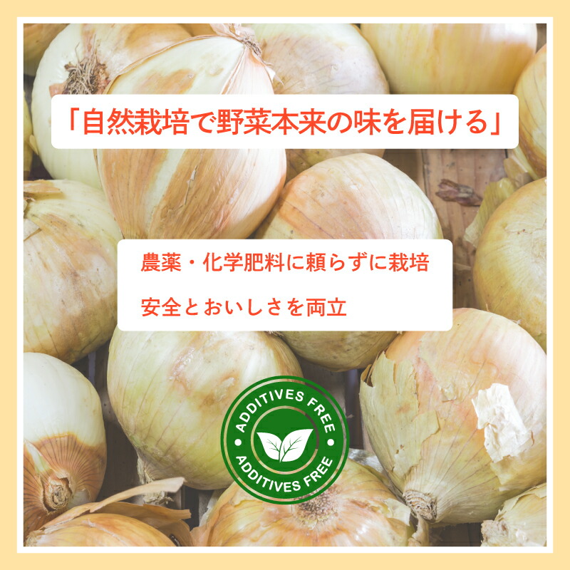 【先行予約】たまねぎ 玉ねぎ 約5kg 【4月上旬～5月中旬頃発送予定】 新玉ねぎ サイズ不揃い 期間限定 オニオン 玉葱 たまねぎ 国産 銚子産 産地直送 野菜 春野菜 新鮮 甘い ジューシー 生 大容量