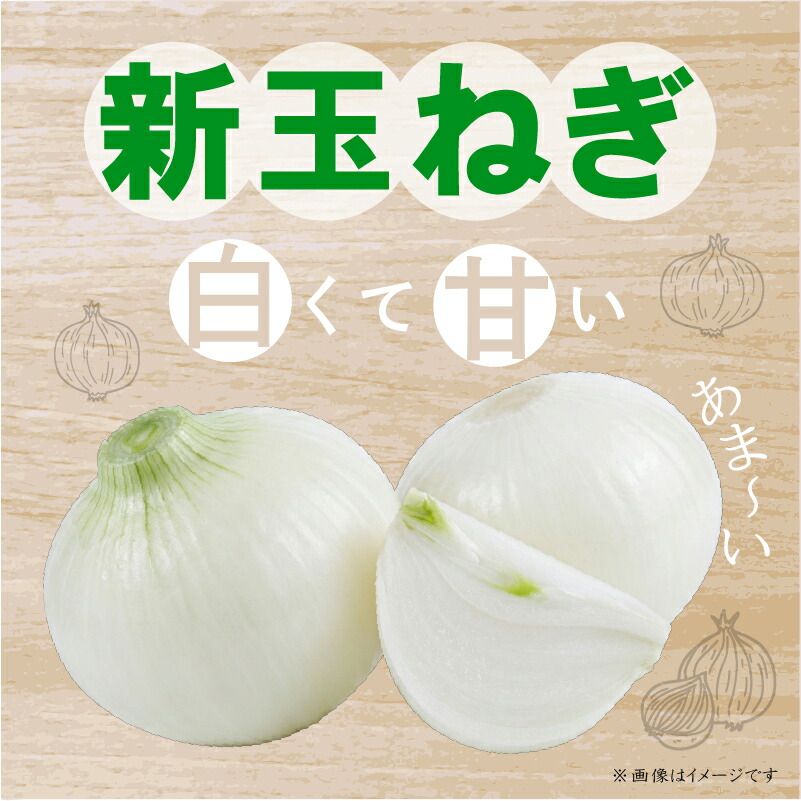 【先行予約】たまねぎ 玉ねぎ 約5kg 【4月上旬～5月中旬頃発送予定】 新玉ねぎ サイズ不揃い 期間限定 オニオン 玉葱 たまねぎ 国産 銚子産 産地直送 野菜 春野菜 新鮮 甘い ジューシー 生 大容量