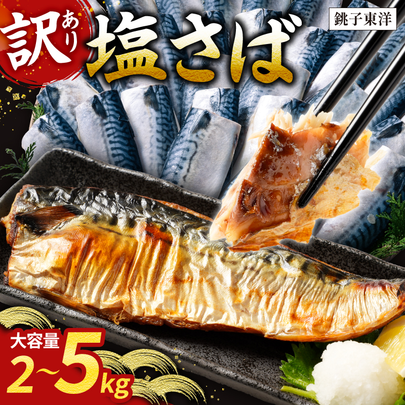 訳あり 塩サバ フィーレ 【選べる内容量】約 2kg 約 3kg 約 3.5kg 約 5kg 鯖 さば 塩鯖 フィレ 魚介類 魚 魚貝 魚介 海鮮 人気 冷凍 大容量 冷凍食品 おつまみ 酒 さけ おかず 惣菜 弁当 不揃い 規格外 訳アリ