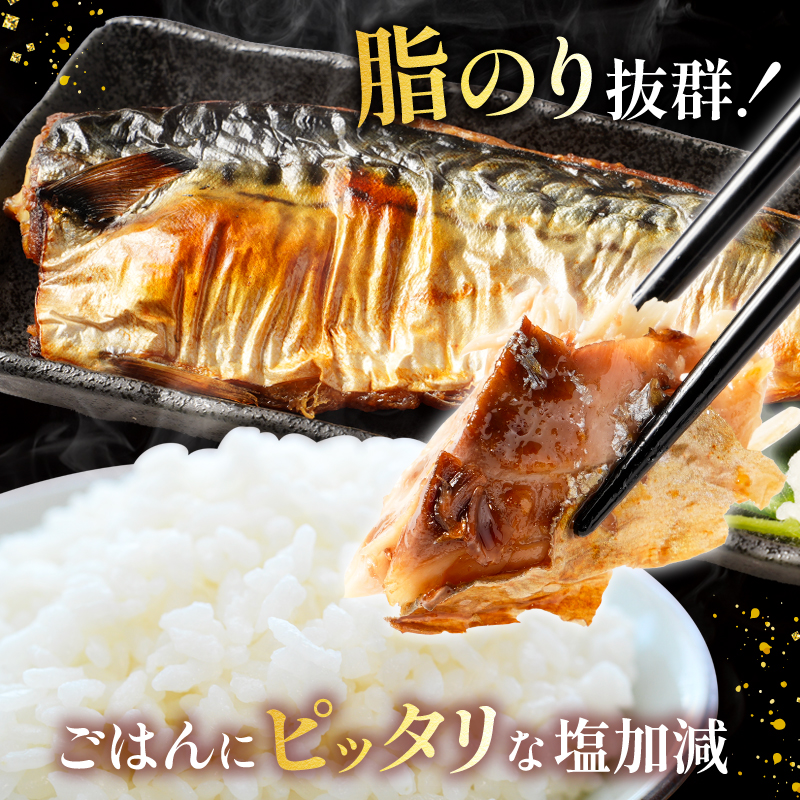 訳あり 塩サバ フィーレ 【選べる内容量】約 2kg 約 3kg 約 3.5kg 約 5kg 鯖 さば 塩鯖 フィレ 魚介類 魚 魚貝 魚介 海鮮 人気 冷凍 大容量 冷凍食品 おつまみ 酒 さけ おかず 惣菜 弁当 不揃い 規格外 訳アリ