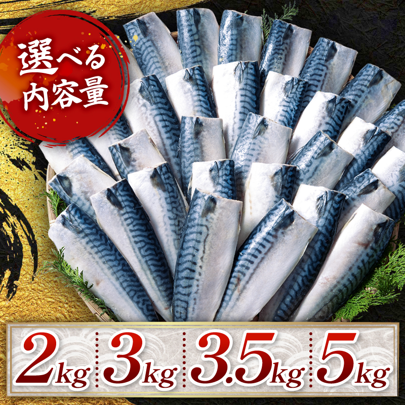 訳あり 塩サバ フィーレ 【選べる内容量】約 2kg 約 3kg 約 3.5kg 約 5kg 鯖 さば 塩鯖 フィレ 魚介類 魚 魚貝 魚介 海鮮 人気 冷凍 大容量 冷凍食品 おつまみ 酒 さけ おかず 惣菜 弁当 不揃い 規格外 訳アリ