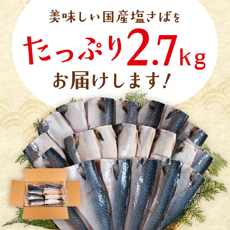 訳あり 国産 塩さば あごだし風味 レモン風味 白醤油風味 約2.7kg 鯖 さば 塩鯖 フィーレ フィレ 国内産 味付き 味付け 魚介類 魚 魚貝 魚介 海鮮 水産 人気 冷凍 大容量 小分け 冷凍食品 おつまみ 酒 さけ