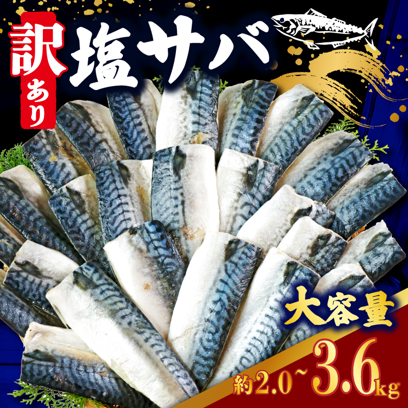 訳あり 鯖 切り身 2kg ～ 3.6kg 【選べる容量】 塩さば さば サバ 魚 魚介 切身 小分け わけあり 不揃い 規格外 ふるさと納税鯖 ふるさと納税さば 千葉県 銚子市 辻野