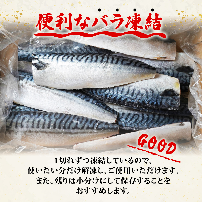 訳あり 鯖 切り身 2kg ～ 3.6kg 【選べる容量】 塩さば さば サバ 魚 魚介 切身 小分け わけあり 不揃い 規格外 ふるさと納税鯖 ふるさと納税さば 千葉県 銚子市 辻野