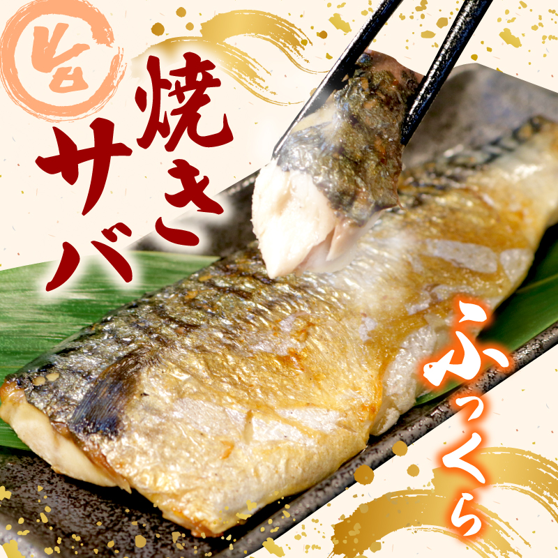 訳あり 鯖 切り身 2kg ～ 3.6kg 【選べる容量】 塩さば さば サバ 魚 魚介 切身 小分け わけあり 不揃い 規格外 ふるさと納税鯖 ふるさと納税さば 千葉県 銚子市 辻野