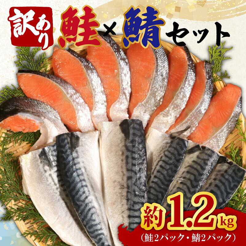 訳あり 鮭 鯖 セット 約 1.2kg 銀鮭 切り身 さば フィレ フィーレ さけ しゃけ 鮭 サーモン 塩鮭 塩鯖 切身 千葉県 銚子市 辻野