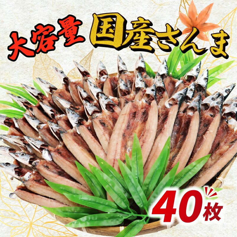 訳あり さんま 40枚 開き 秋刀魚 訳あって 分け合って さんま開き サンマ  国産 ふるさと納税さんま 冷凍 送料無料 千葉県 銚子市 ヤマニンベン