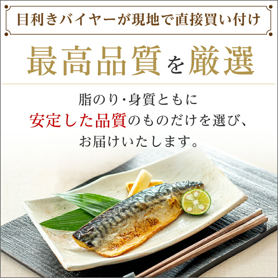 訳あり 骨取り 無塩さば 有塩さば 約1kg・約2kg 鯖 さば 無塩 有塩 千葉県 銚子市 飯田商店