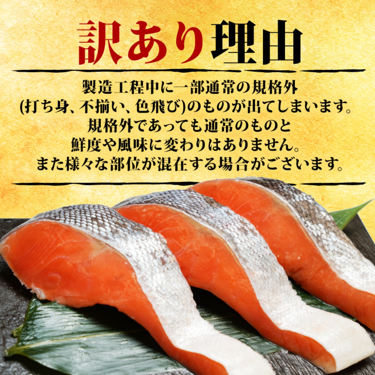銀鮭 切り身 1.6kg ～ 2.4kg 【選べる容量】 鮭 訳あり 銀鮭 厚切り 肉 厚 切身 切り身 訳アリ さけ シャケ 塩銀鮭 不揃い 規格外 魚 おかず 海鮮 人気 大容量 たっぷり ランキング 送料無料 千葉県 銚子市 辻野