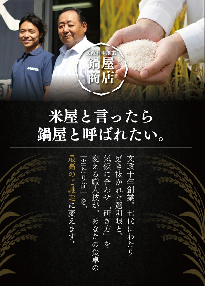 【新米】【R8年度産】 新米 コシヒカリ 5kg 【2026年9月以降発送】 米 お米 ブランド米 国産 美味しいお米 白飯 飯 ご飯５kg 5キロ 精米 白米 こしひかり こめ コメ おこめ