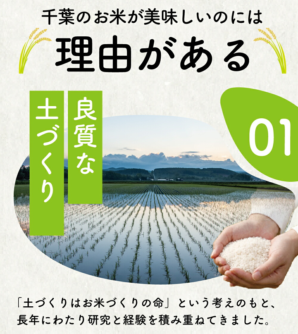 新米 9月配送 コシヒカリ 10kg 米 お米 こめ コメ こしひかり 8年度産 千葉県産 kome okome 精米 白米 ご飯 ごはん 国産 炊飯 ※ ブランド米 甘い ツヤ ギフト 贈答 甘み