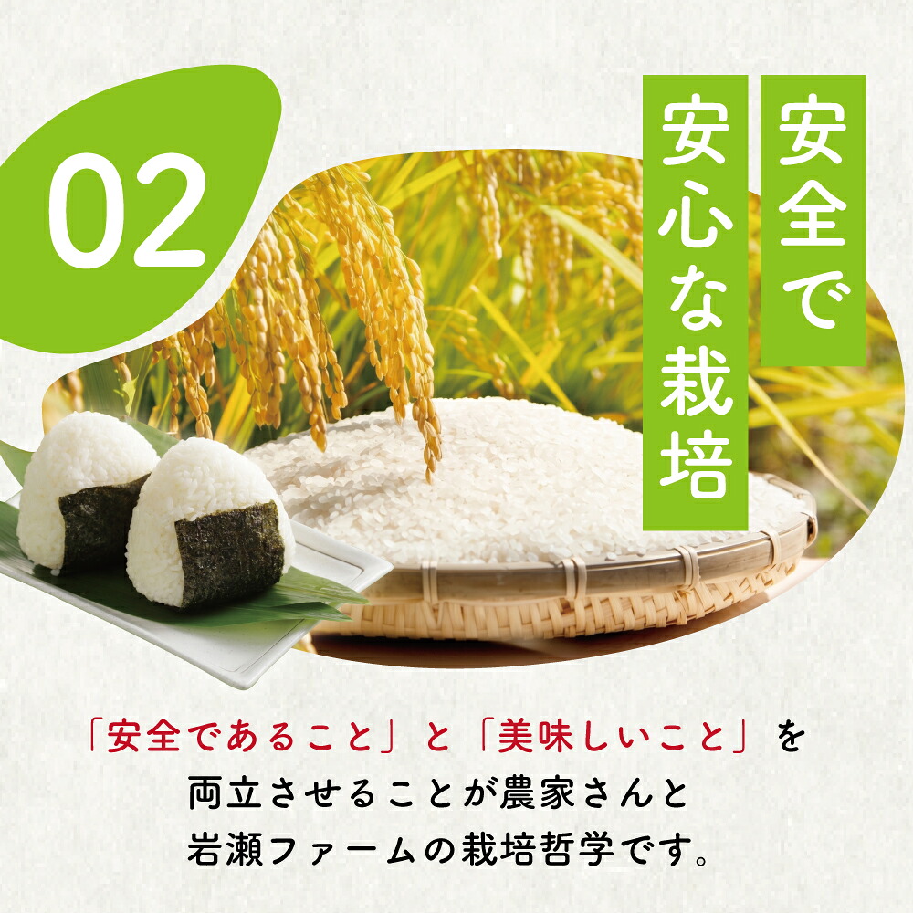 新米 9月配送 コシヒカリ 10kg 米 お米 こめ コメ こしひかり 8年度産 千葉県産 kome okome 精米 白米 ご飯 ごはん 国産 炊飯 ※ ブランド米 甘い ツヤ ギフト 贈答 甘み