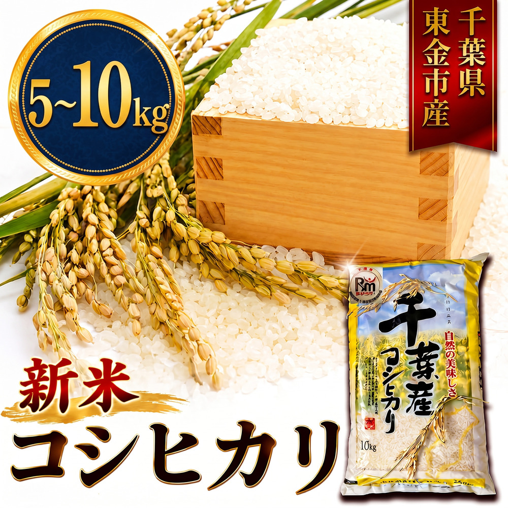 新米 こしひかり 5kg 10kg 米 お米 こめ コメ コシヒカリ 8年度産 千葉県産 kome okome 精米 白米 ご飯 ごはん 備蓄米 国産 炊飯 ※ ブランド米 甘い ツヤ ギフト 贈答 甘み 粘り