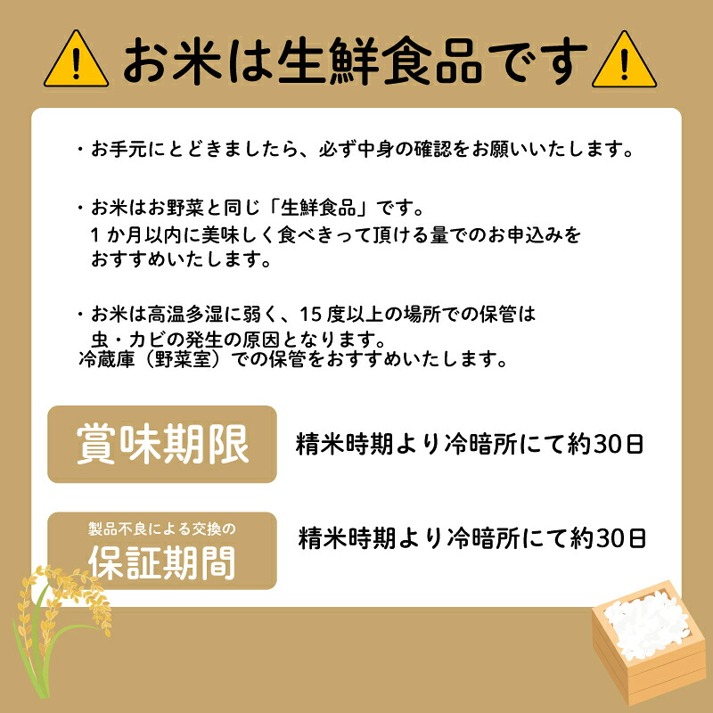 新米 こしひかり 5kg 10kg 米 お米 こめ コメ コシヒカリ 8年度産 千葉県産 kome okome 精米 白米 ご飯 ごはん 備蓄米 国産 炊飯 ※ ブランド米 甘い ツヤ ギフト 贈答 甘み 粘り