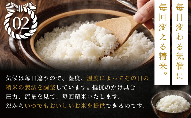 新米 ミルキークイーン 5kg 【2026年9月以降発送】 米 お米 ブランド米 国産 美味しいお米 白飯 飯 ご飯５kg 5キロ 精米 白米 みるきーくいーん こめ コメ おこめ okome