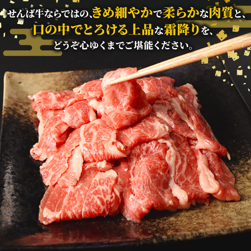 牛肉 切り落とし 1kg ( 500g × 2P ) 小分け ブランド牛 せんば牛 国産牛 国産牛肉 国産 牛切り落とし 切り落とし 肉 冷凍 牛肉 きりおとし 牛肉 切り落し 切落し 牛スライス