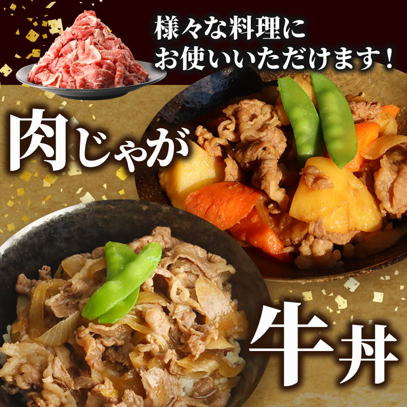 牛肉 切り落とし 1kg ( 500g × 2P ) 小分け ブランド牛 せんば牛 国産牛 国産牛肉 国産 牛切り落とし 切り落とし 肉 冷凍 牛肉 きりおとし 牛肉 切り落し 切落し 牛スライス