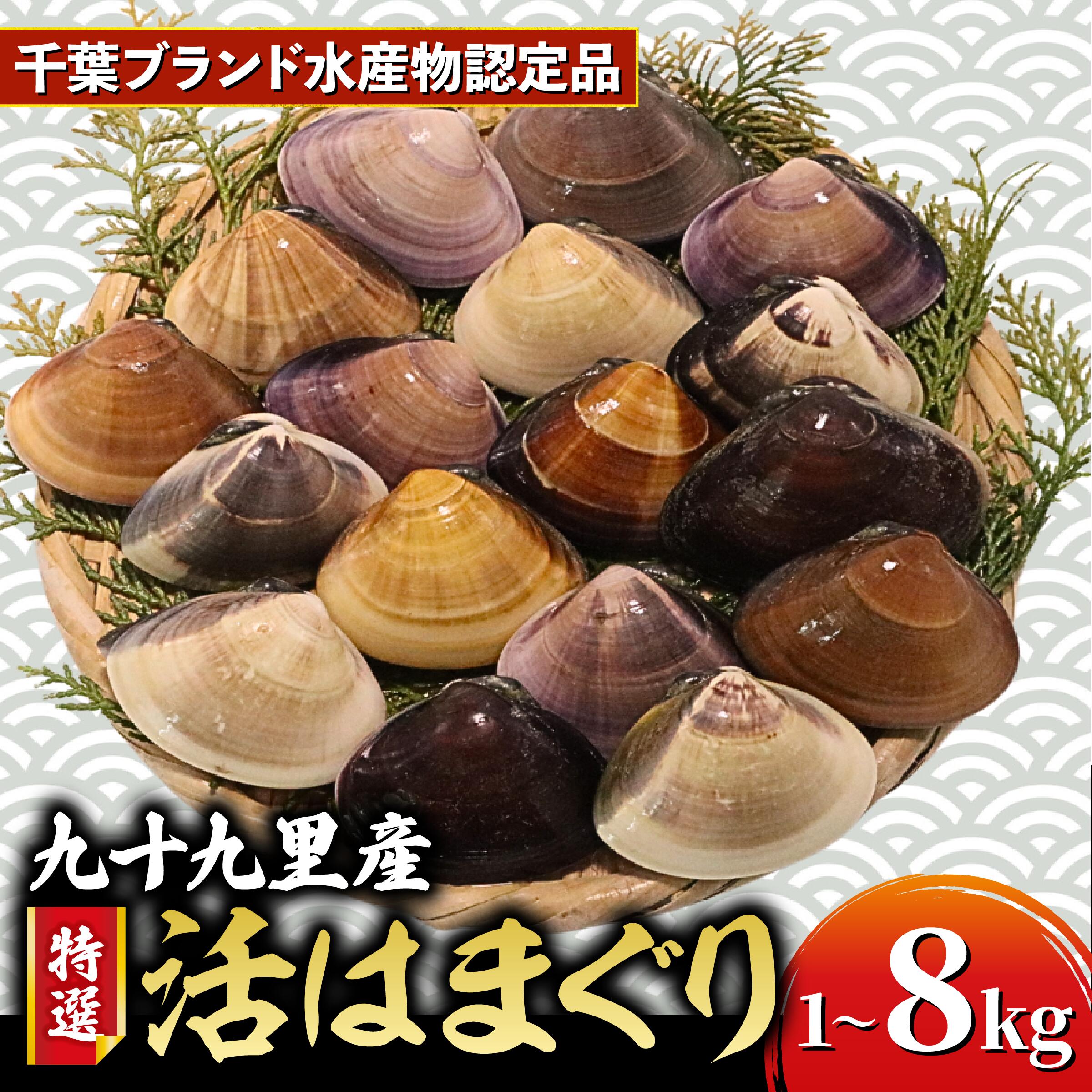 ≪千葉ブランド水産物認定品≫ 活 はまぐり 選べる  約 1kg  (10-16個)約 8kg (85-110個位)  砂抜き  九十九里産 天然  蛤 活はまぐり 砂抜き 冷蔵 魚介 海鮮