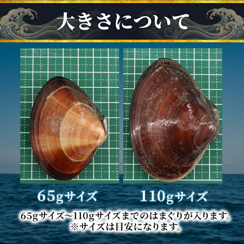 ≪千葉ブランド水産物認定品≫ 活 はまぐり 選べる 約 1kg (10-16個)約 8kg (85-110個位) 砂抜き 九十九里産 天然 蛤 活はまぐり 砂抜き 冷蔵 魚介 海鮮