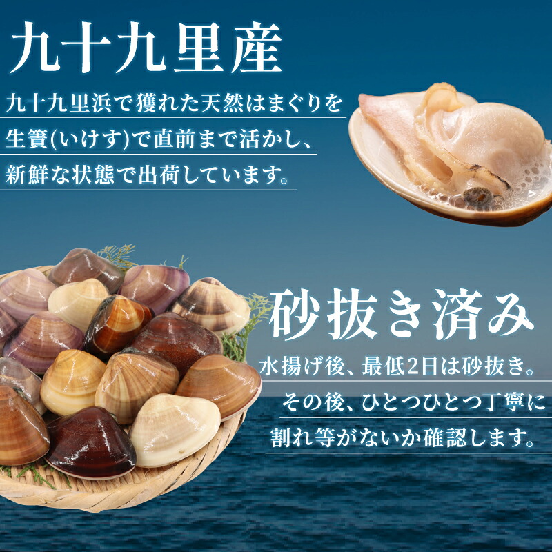 ≪千葉ブランド水産物認定品≫ 活 はまぐり 選べる 約 1kg (10-16個)約 8kg (85-110個位) 砂抜き 九十九里産 天然 蛤 活はまぐり 砂抜き 冷蔵 魚介 海鮮