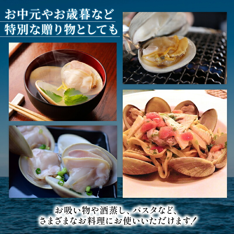 ≪千葉ブランド水産物認定品≫ 活 はまぐり 選べる 約 1kg (10-16個)約 8kg (85-110個位) 砂抜き 九十九里産 天然 蛤 活はまぐり 砂抜き 冷蔵 魚介 海鮮