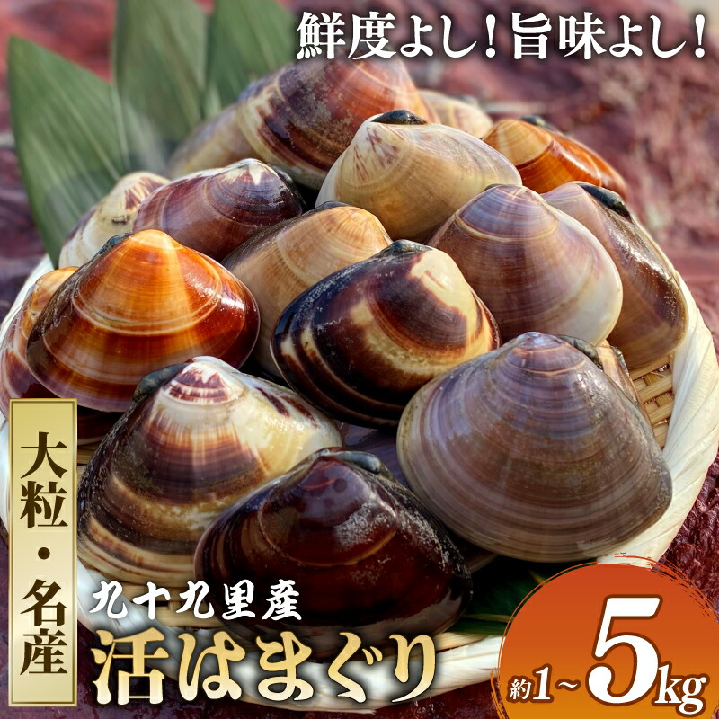 【TV番組で全国1位！】 大粒活はまぐり 活はまぐり 約 1 / 1.5 / 2 / 3.1 / 4 / 5kg 九十九里産 国産 貝 大はまぐり 砂抜き 魚 水産 海鮮 贈答 ギフト ふるさと納税