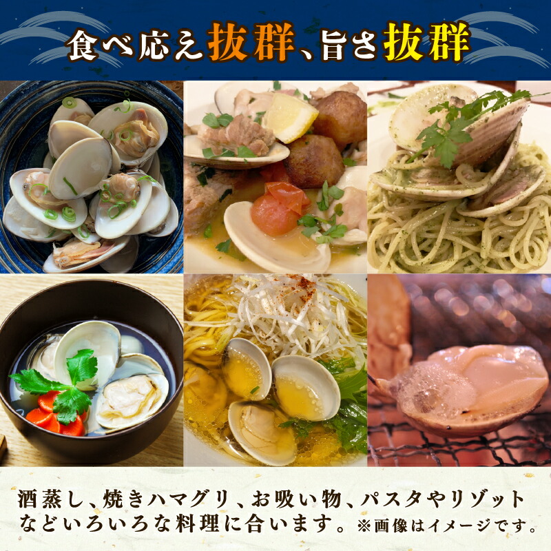 【TV番組で全国1位！】 大粒活はまぐり 活はまぐり 約 1 / 1.5 / 2 / 3.1 / 4 / 5kg 九十九里産 国産 貝 大はまぐり 砂抜き 魚 水産 海鮮 贈答 ギフト ふるさと納税