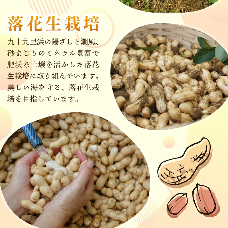 ピーナッツギフトセット ＜中＞ Bocchi  ピーナッツ ナッツ 落花生 ラッカセイ タンパク質 タンパク ミネラル 食物繊維 豆 マメ 千葉 定番 おやつ おつまみ ご褒美 良質 素材 贈答