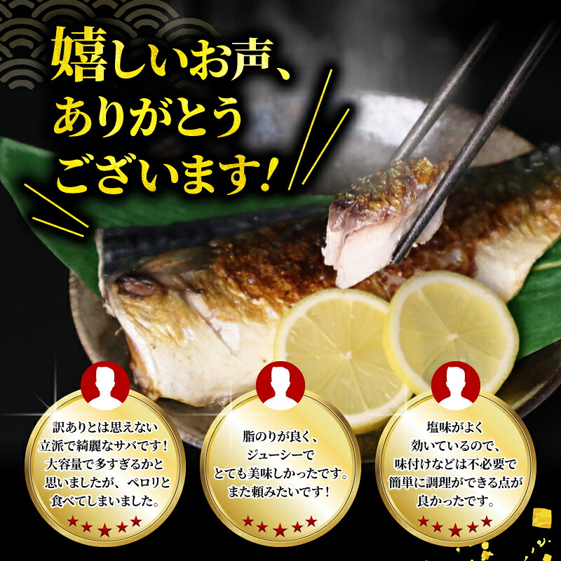 ＼最短7営業日以内発送／ 訳あり 国産 塩 サバ フィーレ 3kg 5kg さば 鯖 さばフィーレ サバフィレ saba 不揃い 規格外 訳アリ わけあり 冷凍 食品 冷凍食品 切身 切り身 魚 魚介