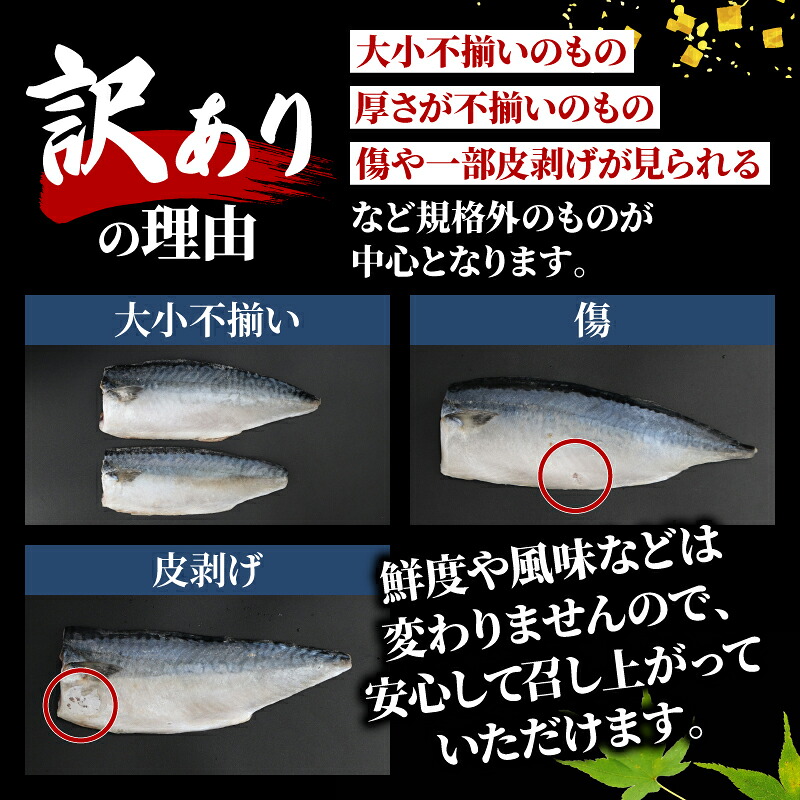 ＼最短7営業日以内発送／ 訳あり 国産 塩 サバ フィーレ 3kg 5kg さば 鯖 さばフィーレ サバフィレ saba 不揃い 規格外 訳アリ わけあり 冷凍 食品 冷凍食品 切身 切り身 魚 魚介